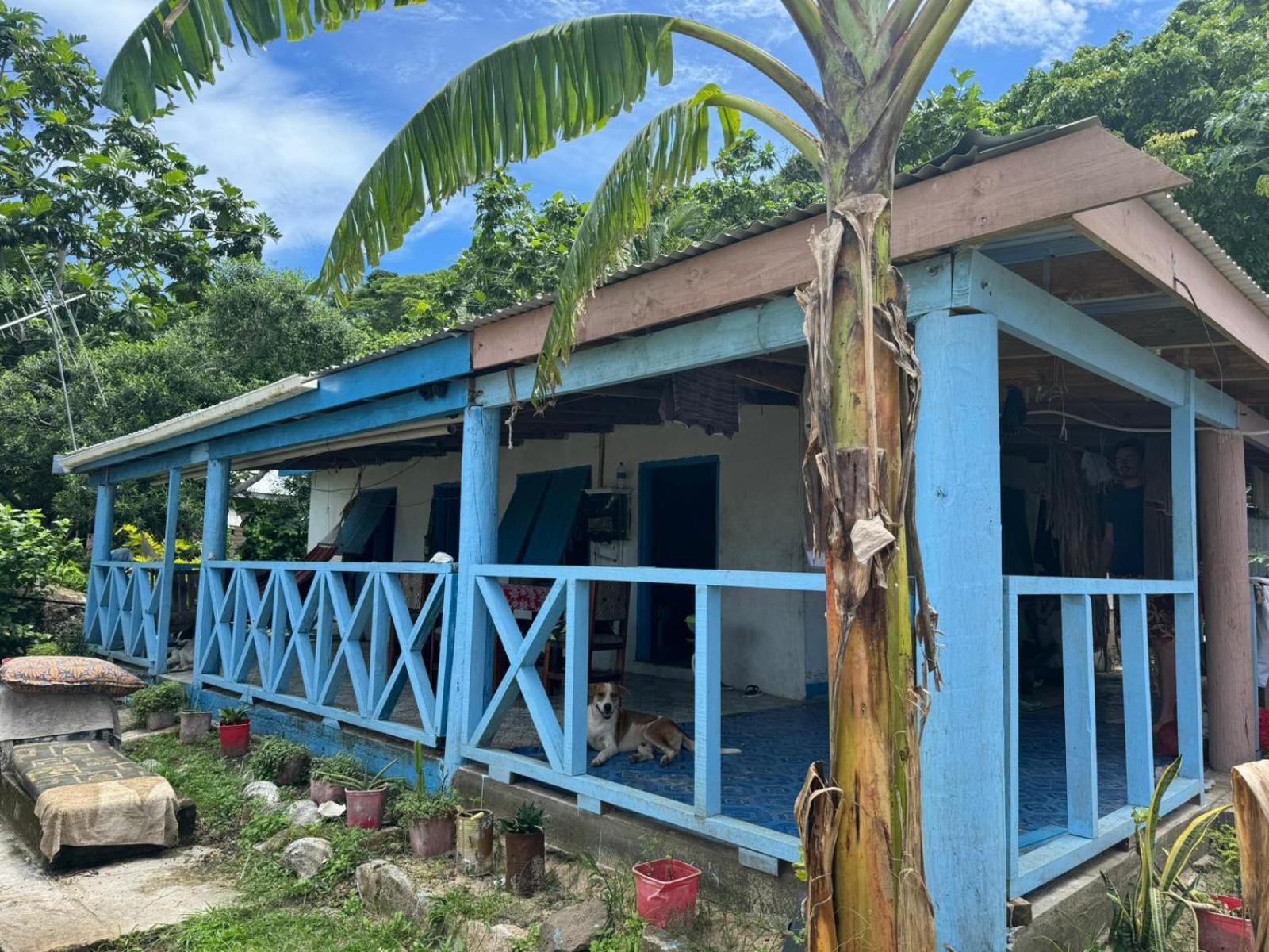 Lusis Homestay 劳托卡 外观 照片
